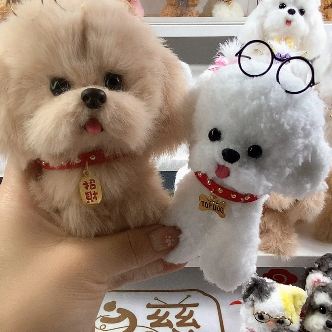 成品送一对眼镜金毛比熊