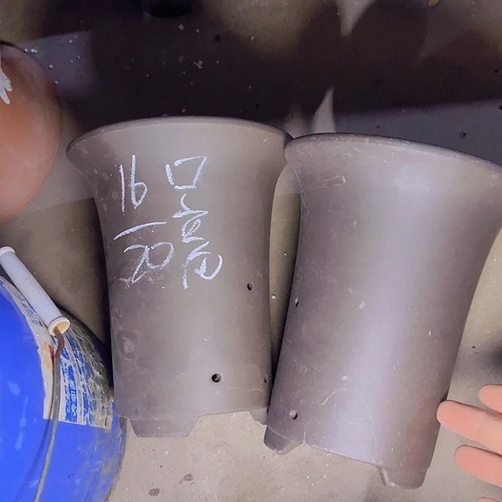 紫砂花盆周深周深周深周深