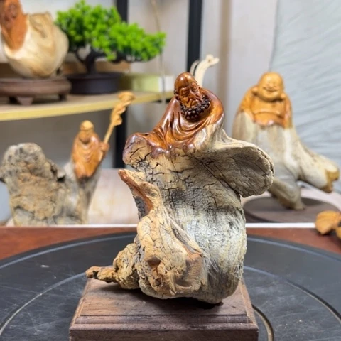 柏木（崖柏）vn j j j j j j