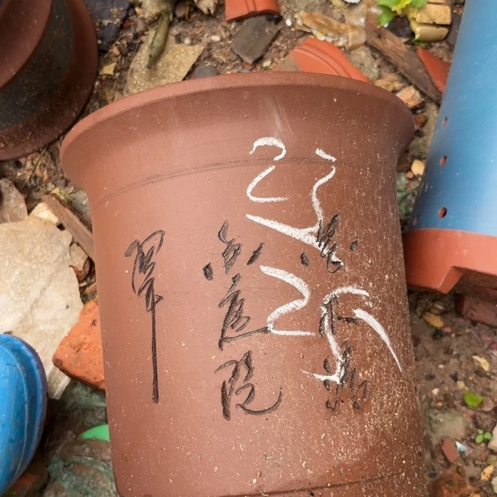 紫砂花盆紫砂的颜色