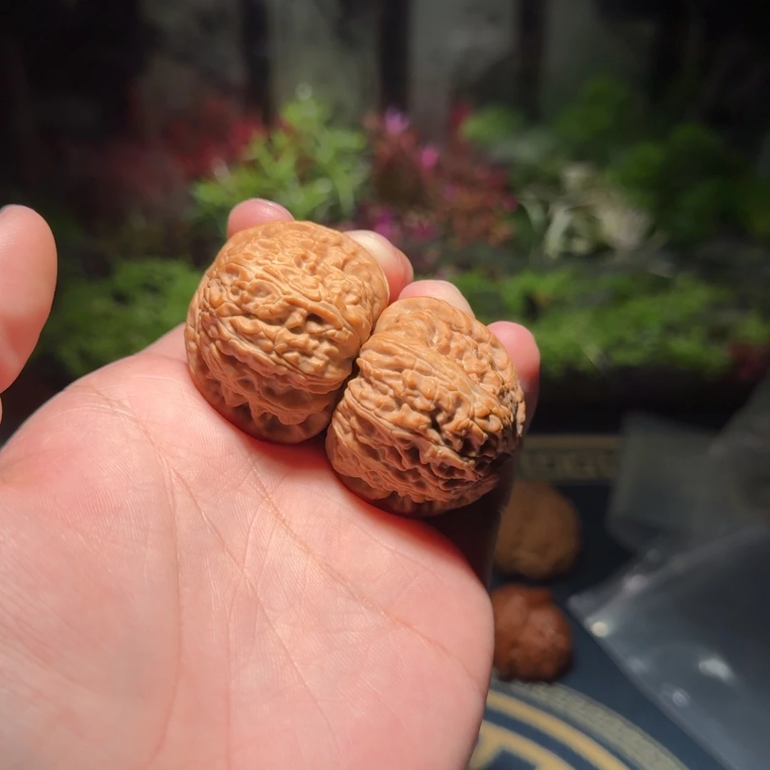 247号38闷白闷白文玩核桃