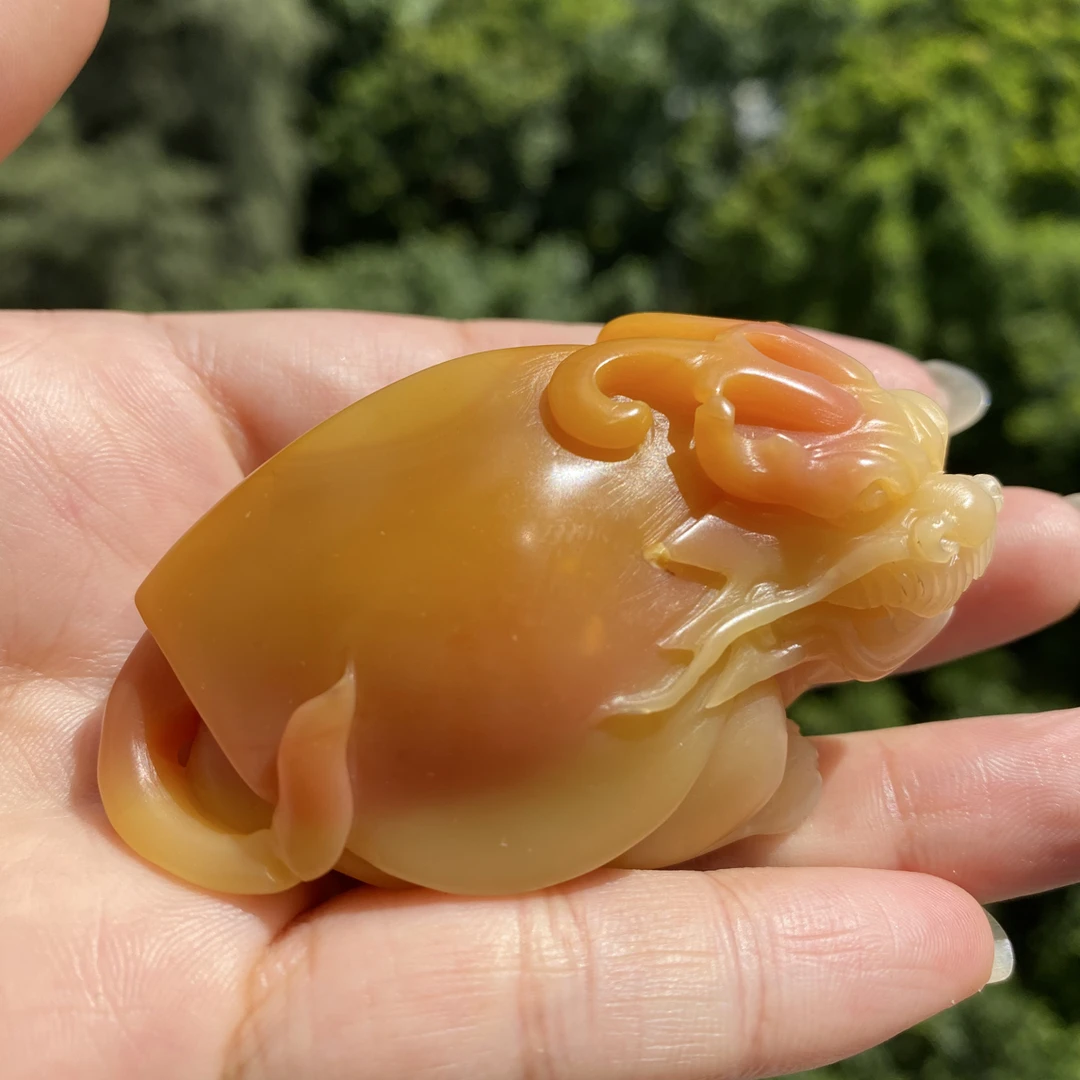 寿山石三彩芙蓉石龙龟手把件纯天然色彩