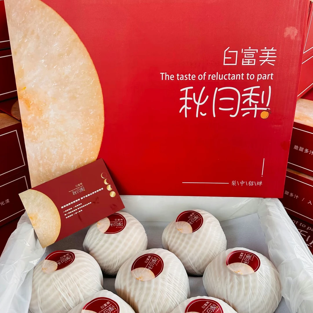 白富美秋月梨 4斤/箱山东省