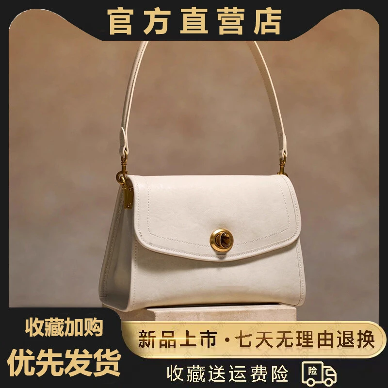 2025新款小众女士单肩新款时尚高级感轻奢腋下包通勤气质轻奢