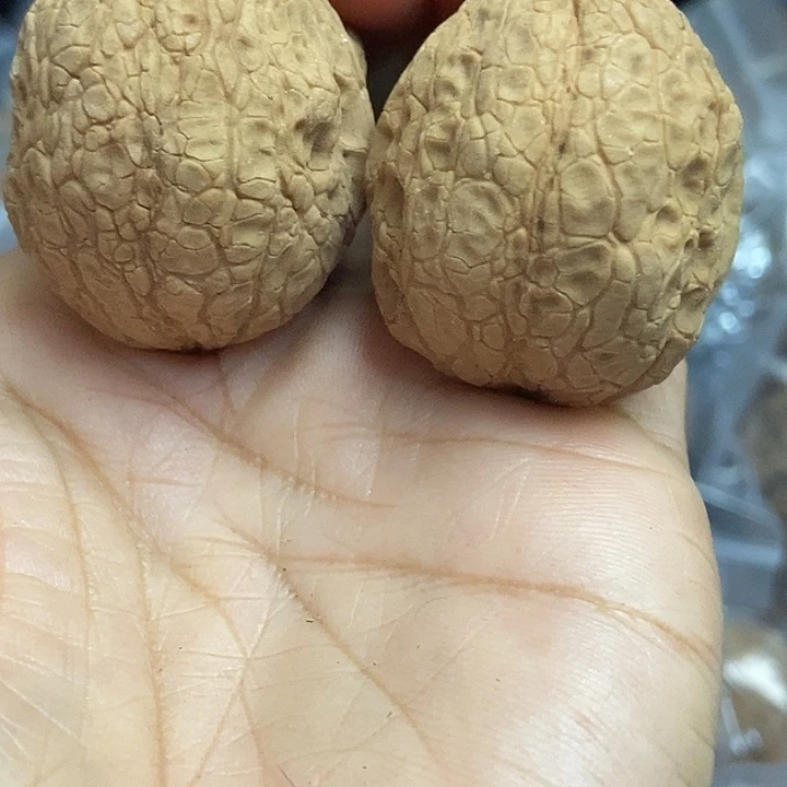 文玩核桃把件云南铁核桃基地99