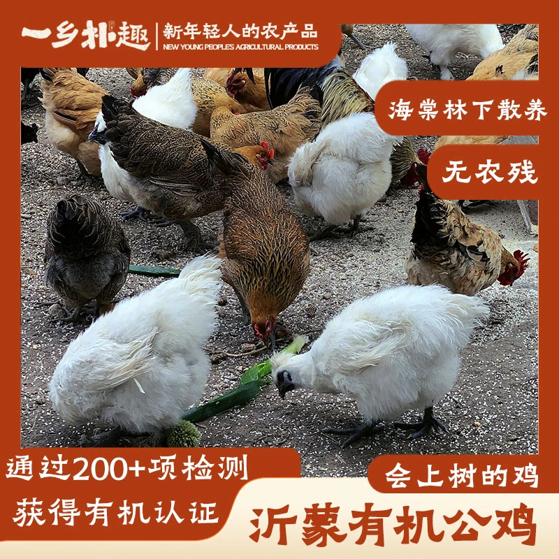 【一乡朴趣】沂蒙山散养土鸡初级农产品新鲜源头直发年货礼盒