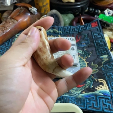 大哥专拍链接一号
