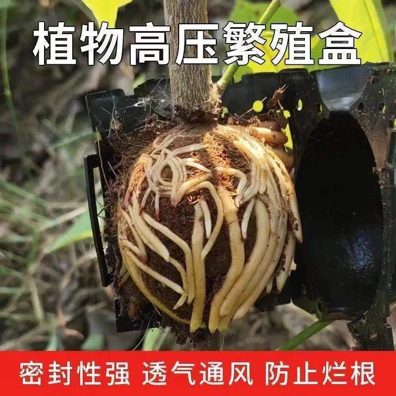 植物高压嫁接繁殖盒扦插果树枝条育苗器花木嫁接移栽神器家用月季