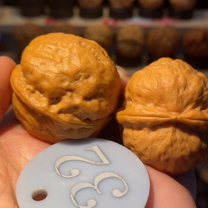 23号链接玉面冰蟾37尺寸