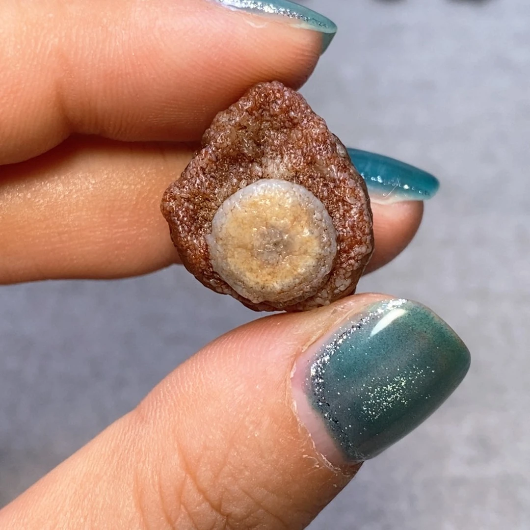 地表浅地表各种天然石头满50包邮   偏远满100包邮