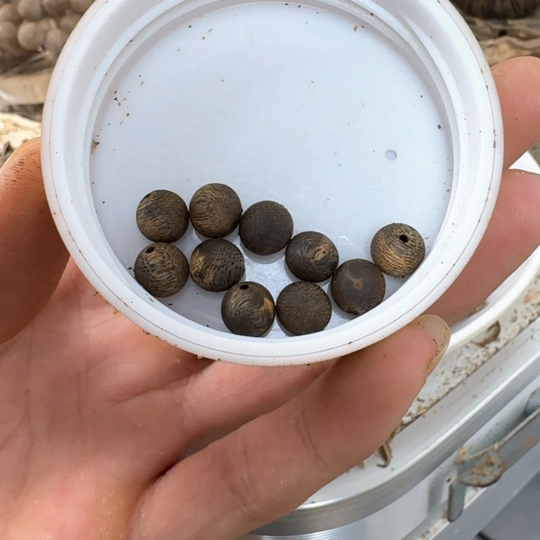 沉香手串凡**饰奇楠沉香圆珠2.5克