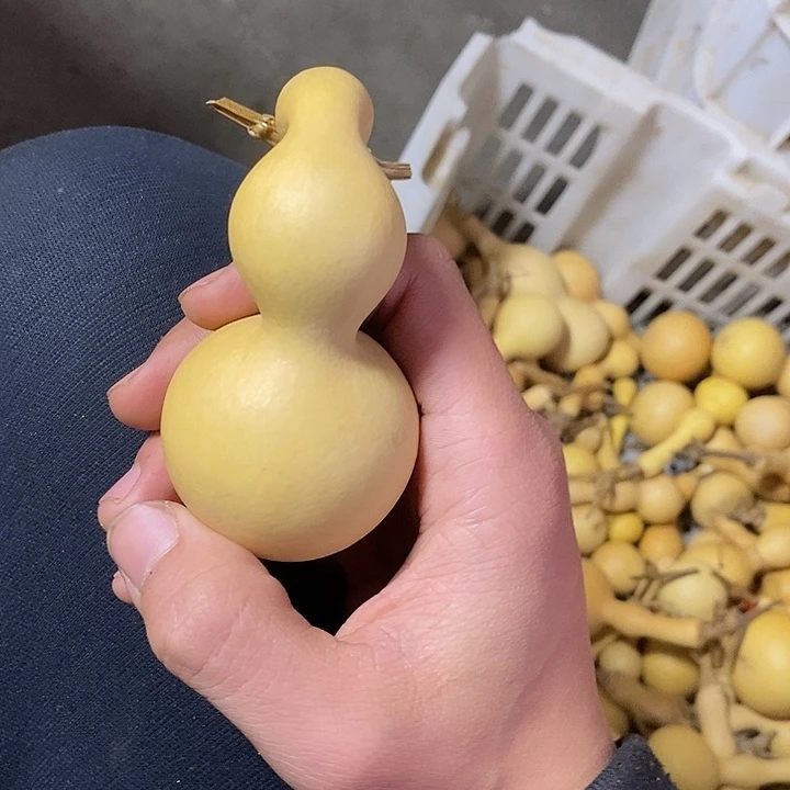 西****）了吗我真您的111111111