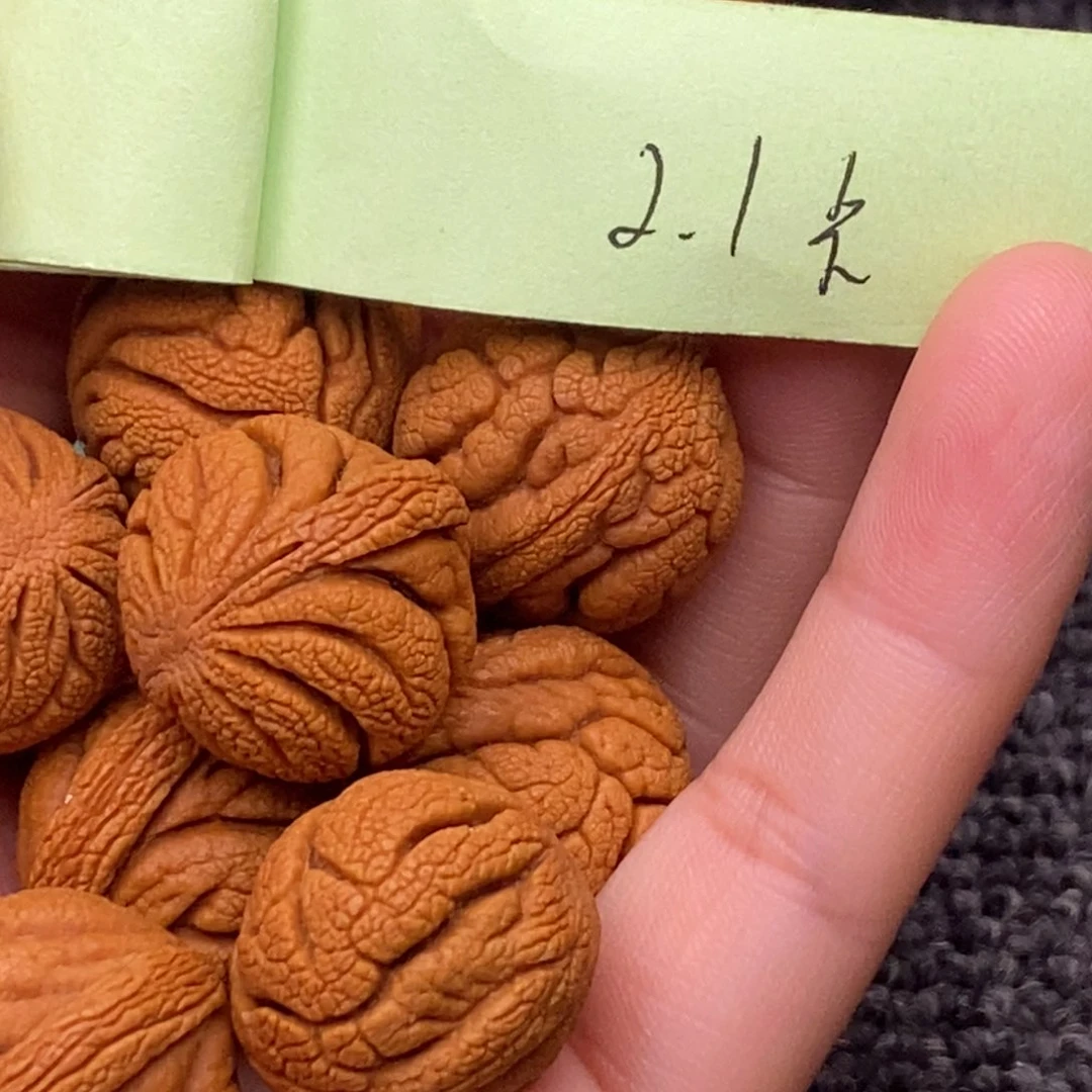 秦岭山脉龙纹桃核 13