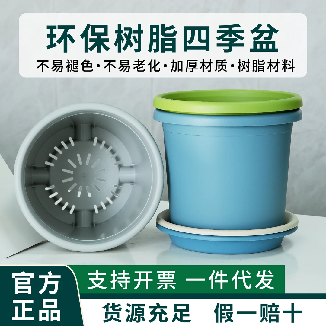 特价8号四季口39.3cm高37cm （7加仑）