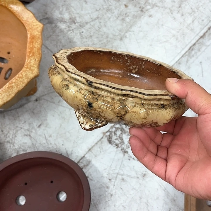 紫砂花盆紫砂的颜色很好看