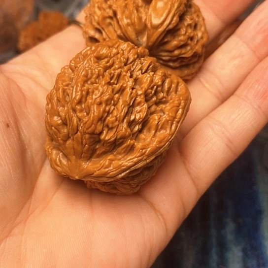 大叶紫檀（黑酸枝木类）京*