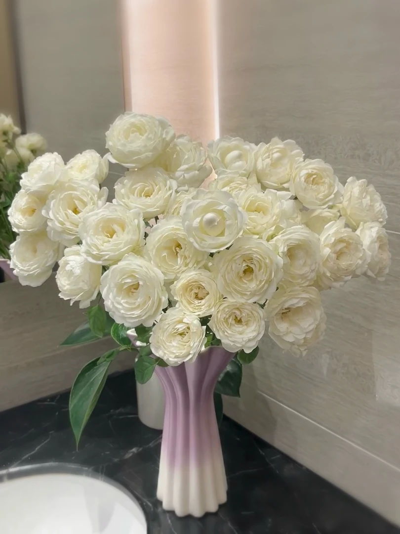 [白羽]玫瑰一单不发货！！