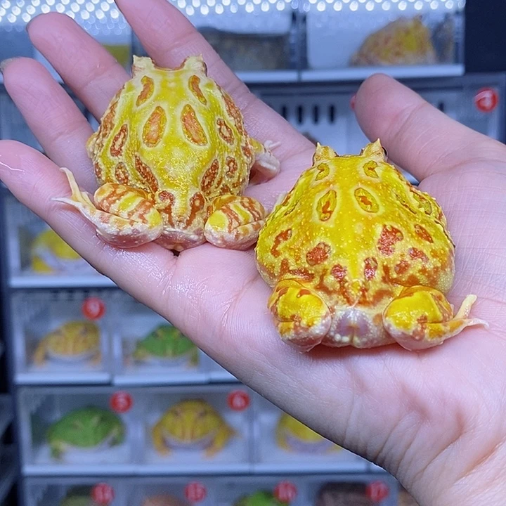 特价秒杀现货特价残