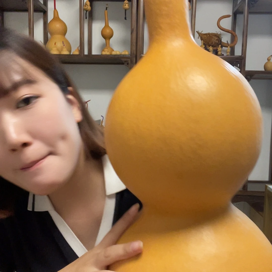 无品牌葫芦村村支部副委员和党组织成员参加