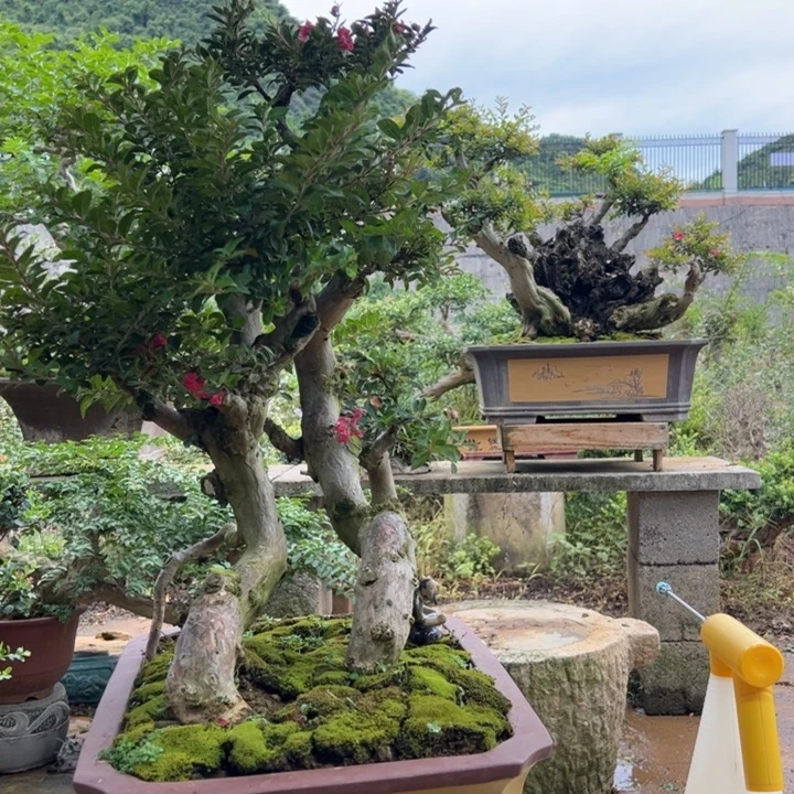 忙***无花朵那些说自己爱我自己