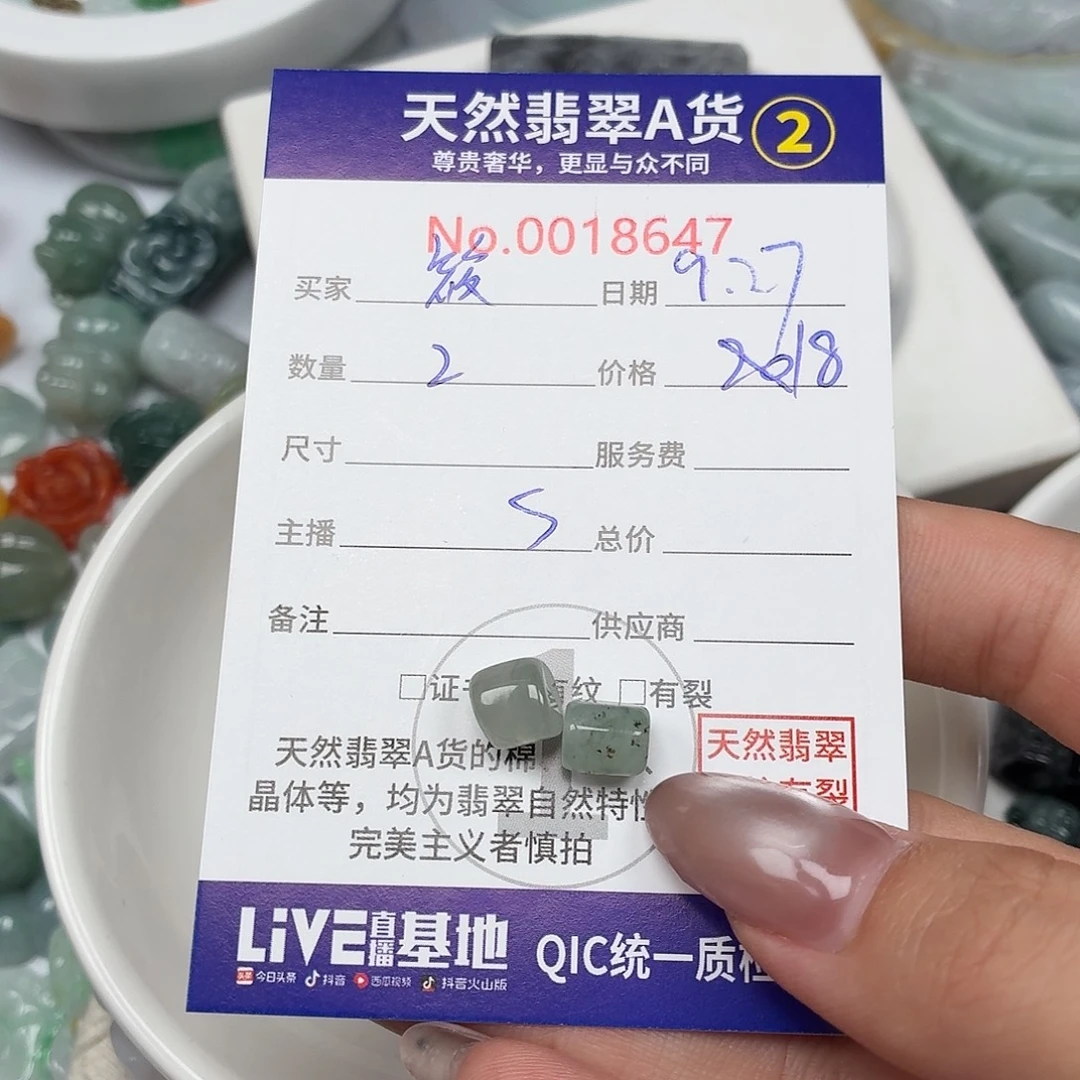 筱***工翡翠未镶嵌颈饰24
