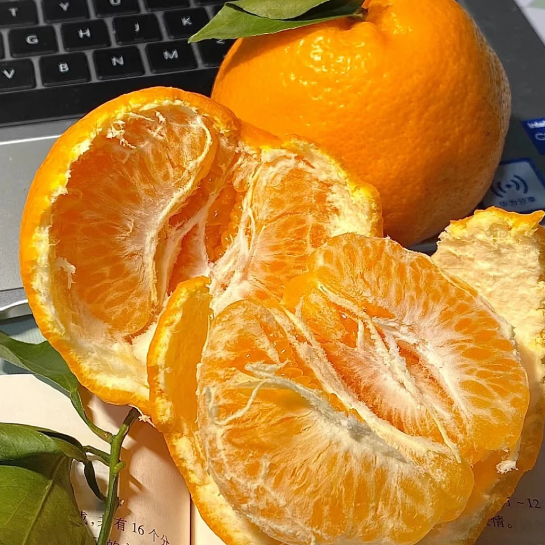 寸金地粑粑柑一箱约5斤四川省