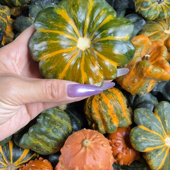 香***美饿哦饿哦饿哦饿哦饿哦