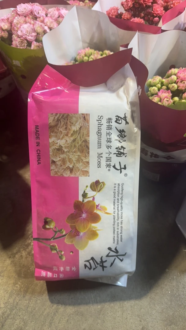 【新疆包邮】蝴蝶兰水台