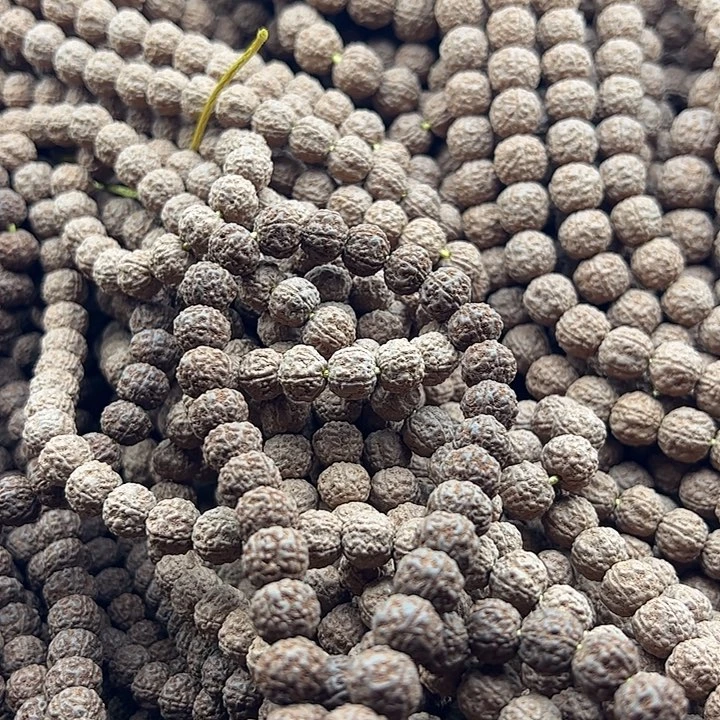 金刚菩提手串老树盘龙9-12随机发114颗没有钢丝刷保手持