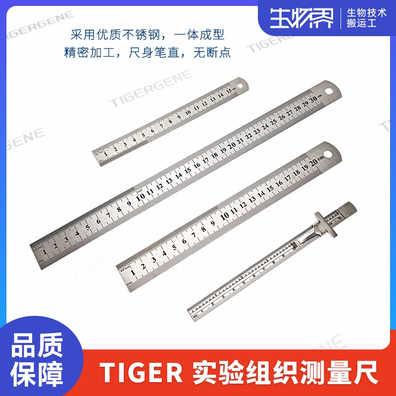 Tigergene实验用高精度组织测量尺不锈钢尺子