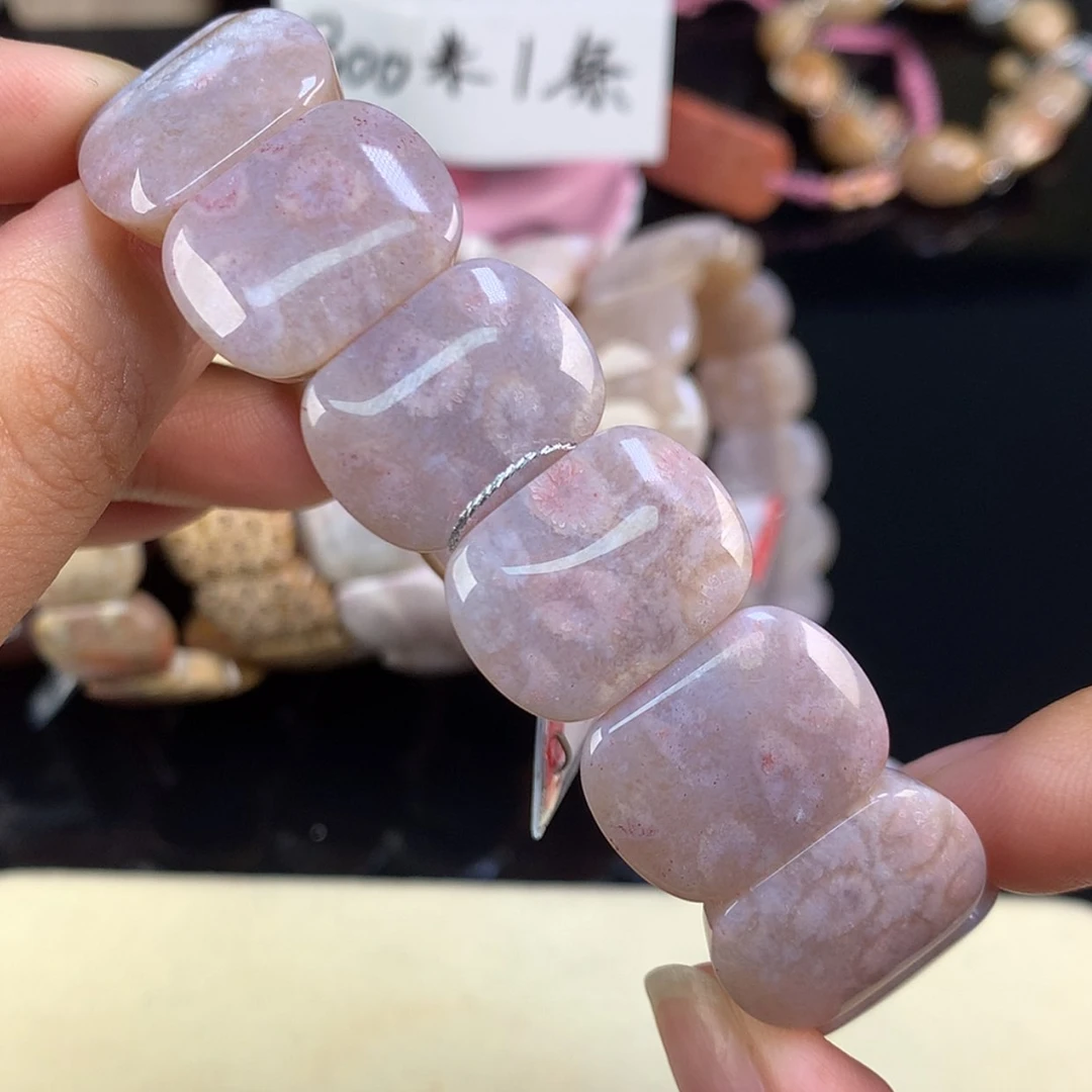 【闪购商品】颈饰未镶嵌硅化珊瑚（珊瑚玉）22号上新紫