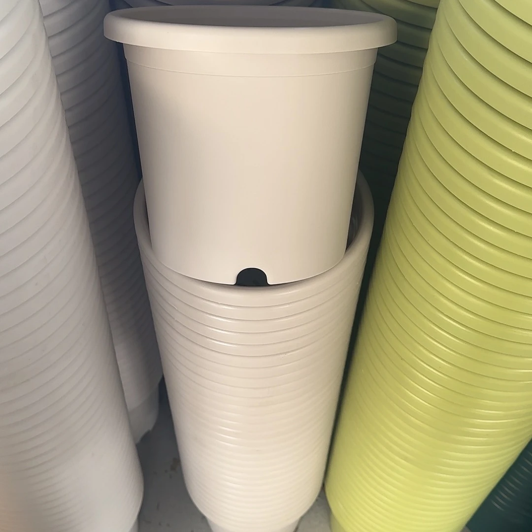 微瑕4号5个无托，灰白