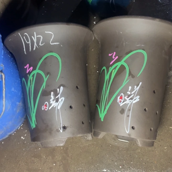 真的真是实在是