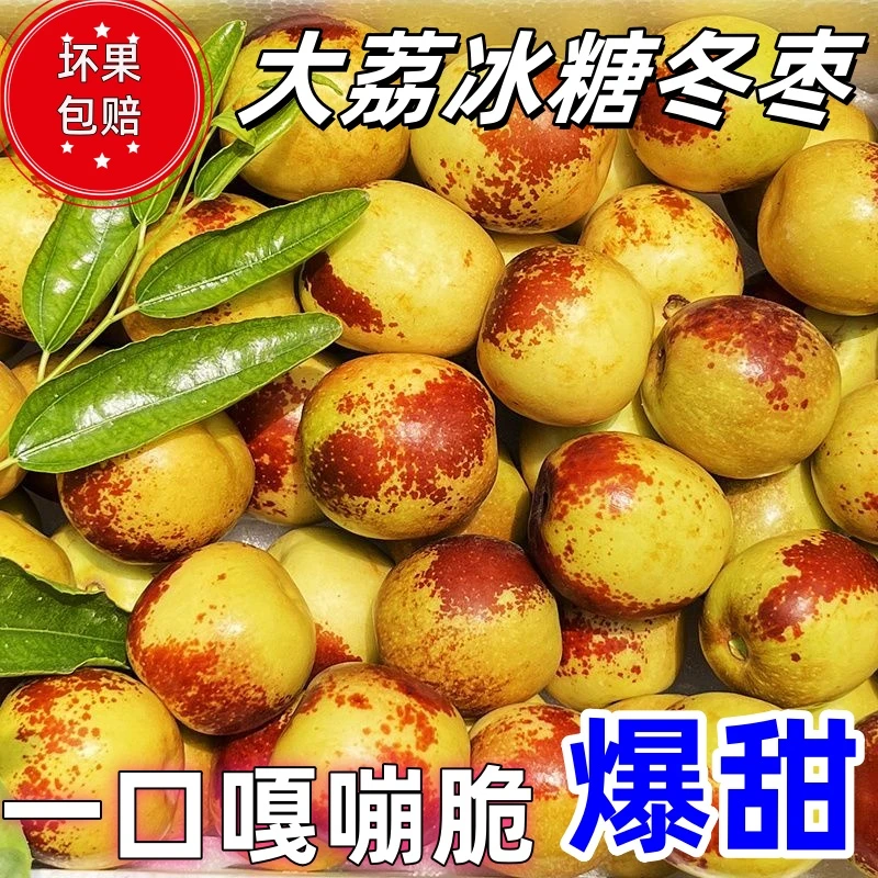 正宗陕西大荔冬枣冰糖冬枣脆甜青枣现摘新鲜皮薄肉厚孕妇水果