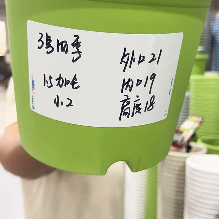 特价3号四季口21高18混色10个无托