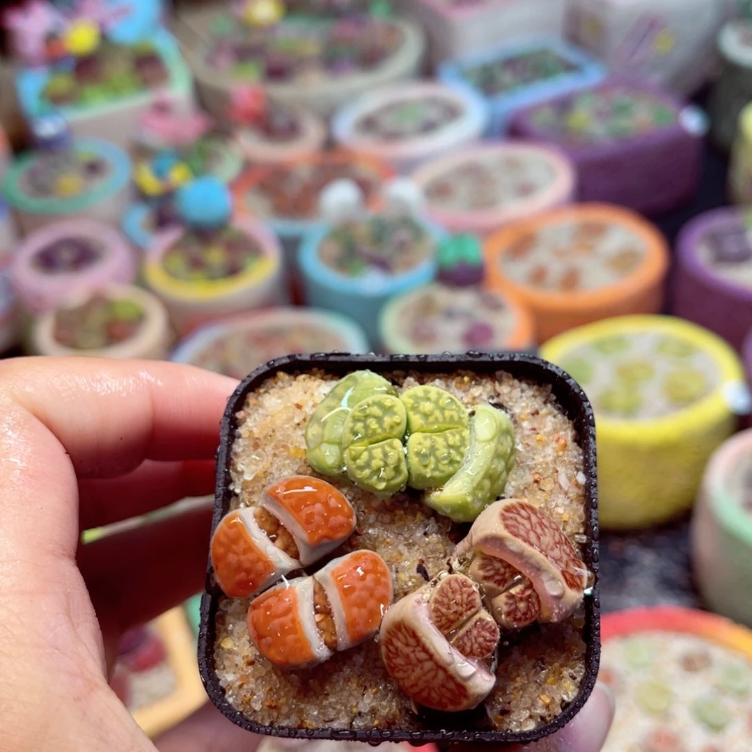 108. 557856866877899