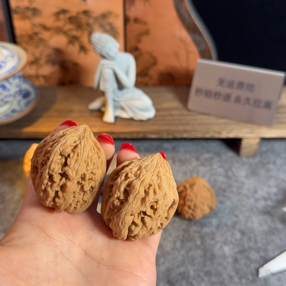 全品40骨质之王大沽石克重491