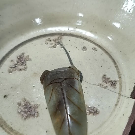 和田玉（糖玉）未镶嵌珠宝奇石玉，，，，，，，，，，，，