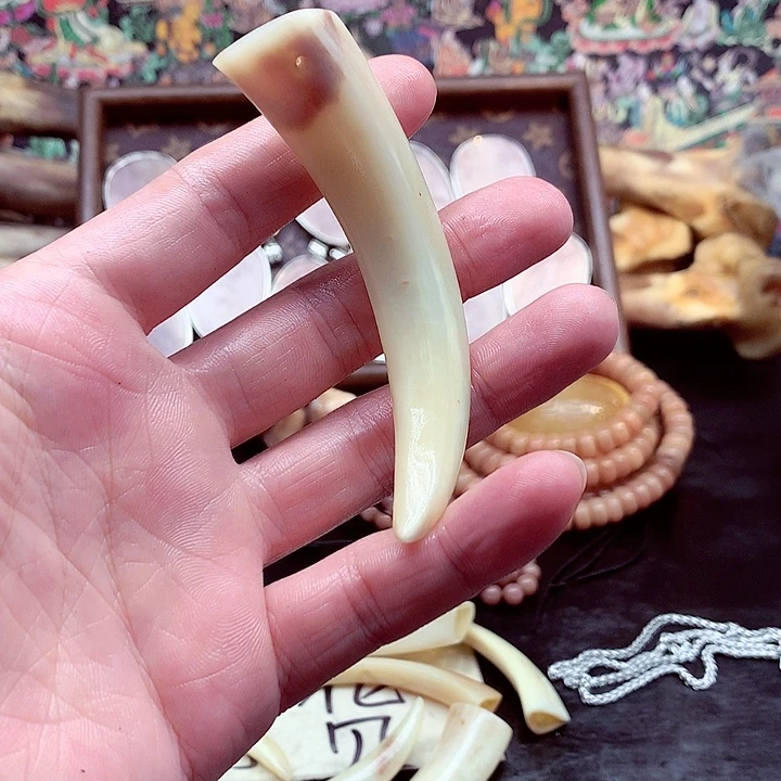 驼骨手串/手链手链