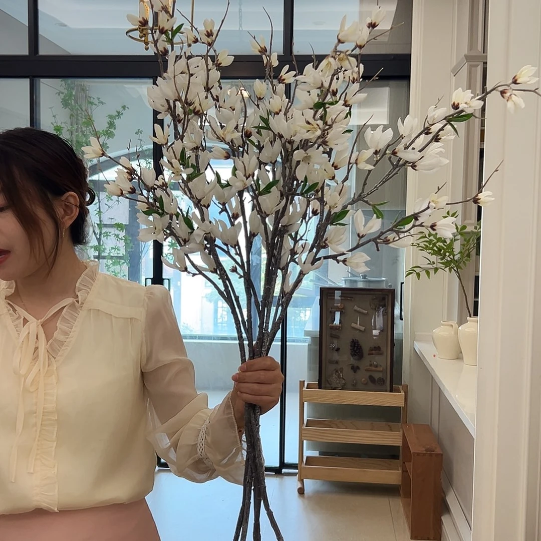 拍样品白色玉兰花5