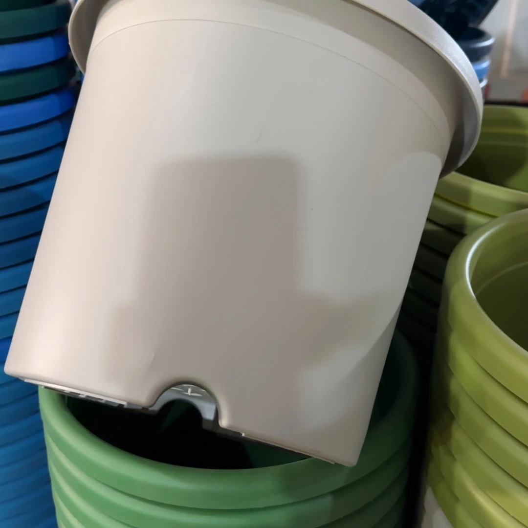 树脂特价5#无拖灰白6个