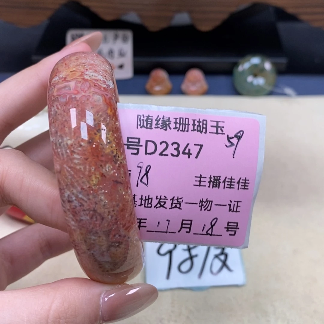 未镶嵌D2347硅化珊瑚（珊瑚玉）中*