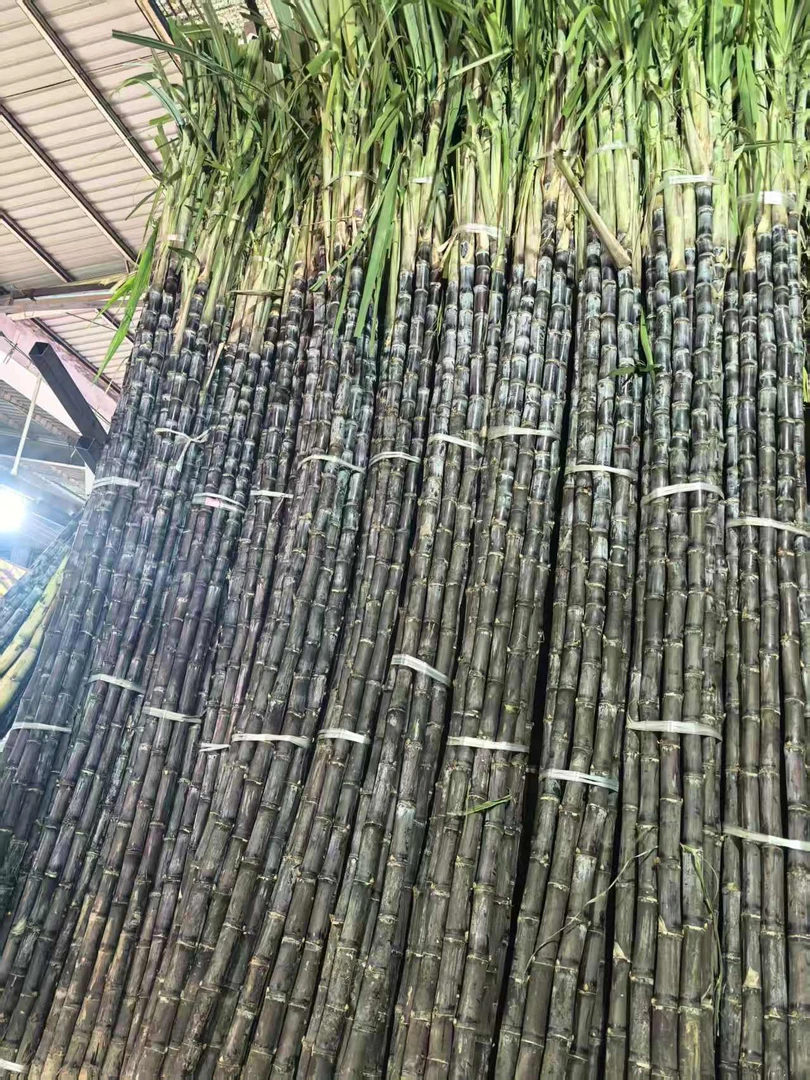 新鲜黑皮甘蔗脆甜多汁