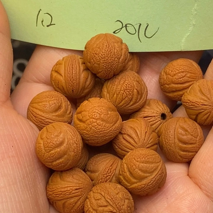 吊坠桃核秦岭龙纹桃核12尺寸