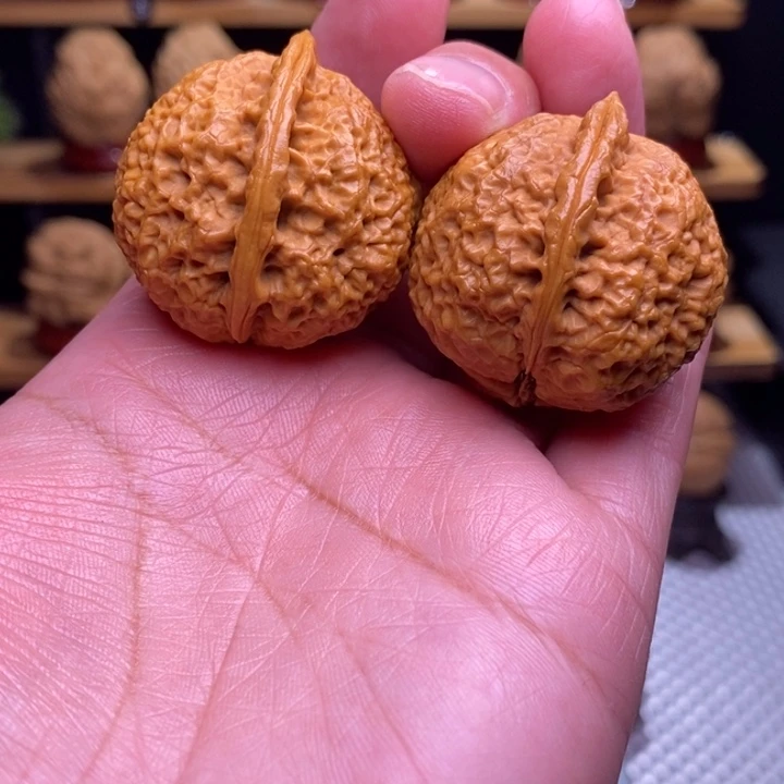 木质类云铁一道筋62号