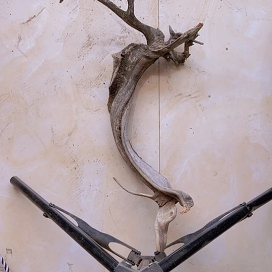 柏木金****勇陈化到位坨坨疙瘩