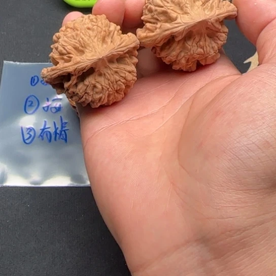 ****月大叶紫檀（黑酸枝木类）