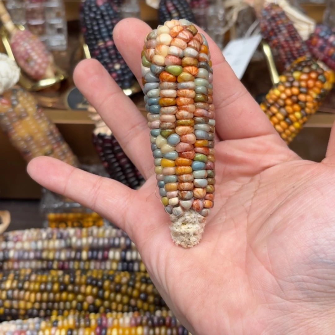 柏香籽/百香籽吊坠¥****1