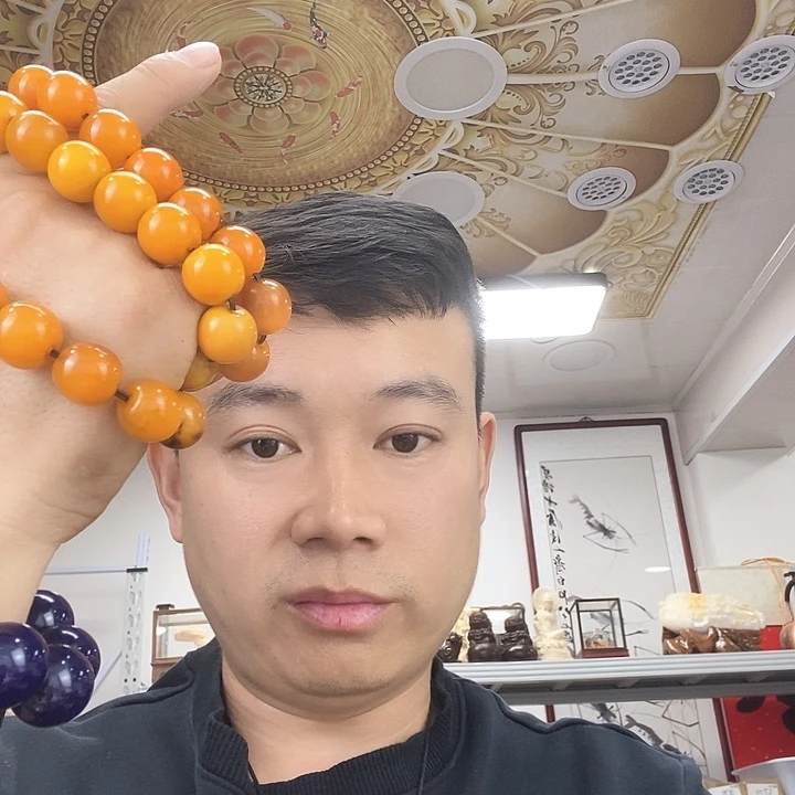 树脂非金属2641。