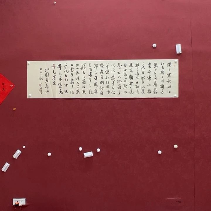 国画你你你你你你你你